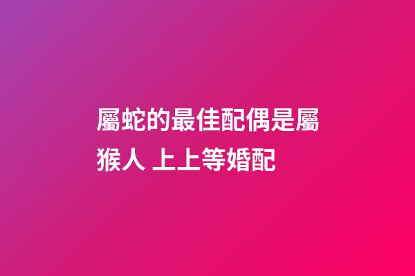 屬蛇的最佳配偶是屬猴人 上上等婚配